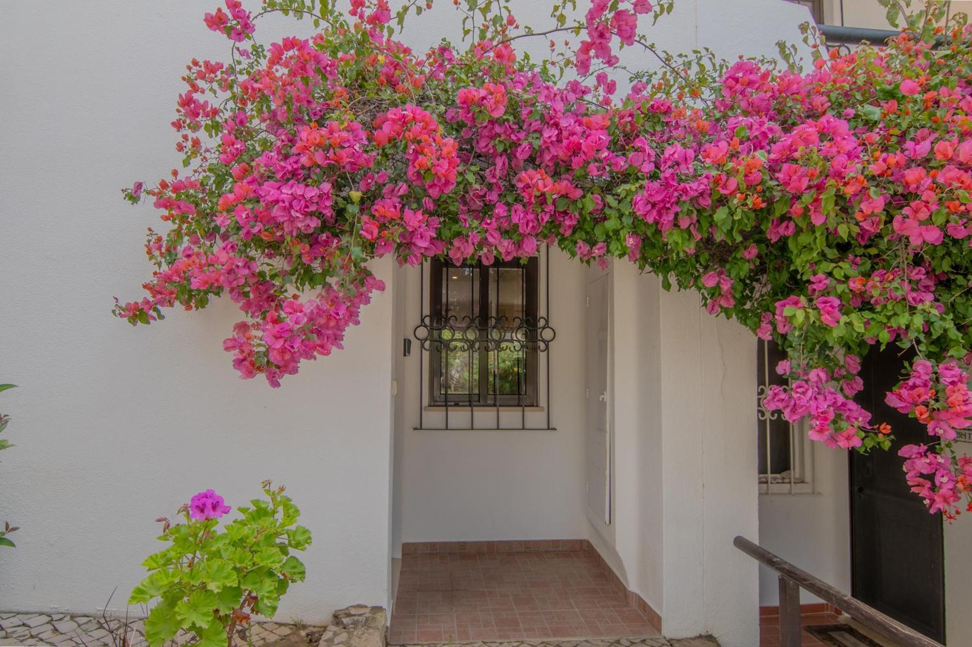Coastal Retreat With Pool And Beach Access By Drago Rentals Albufeira Eksteriør bilde